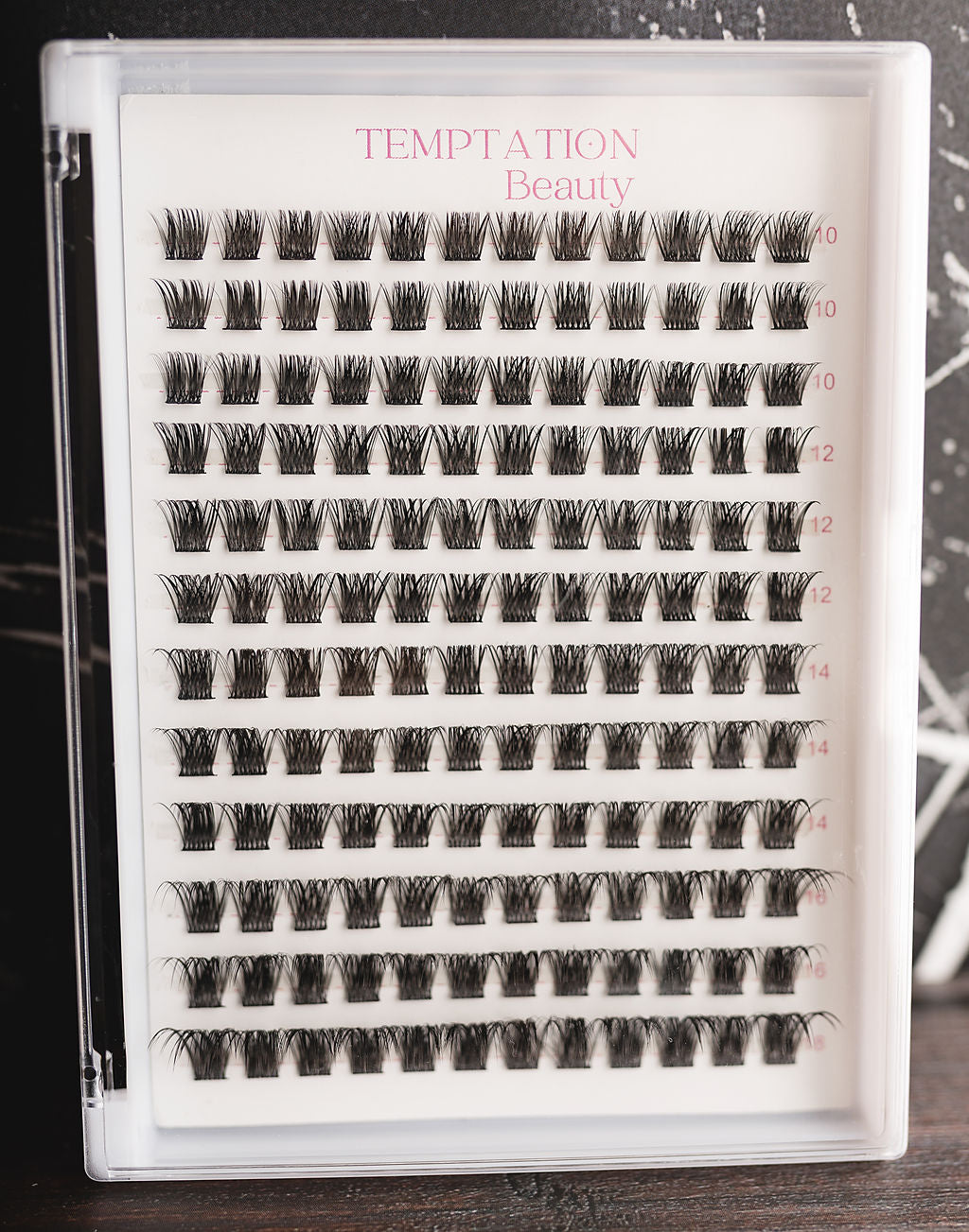 Lash Tray